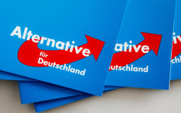 Das Logo der AfD auf einer Parteibroschüre. (© picture-alliance/dpa) 