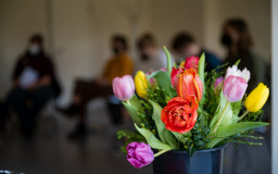 Blumen im Seminarraum (Foto: Henry Sowinski)