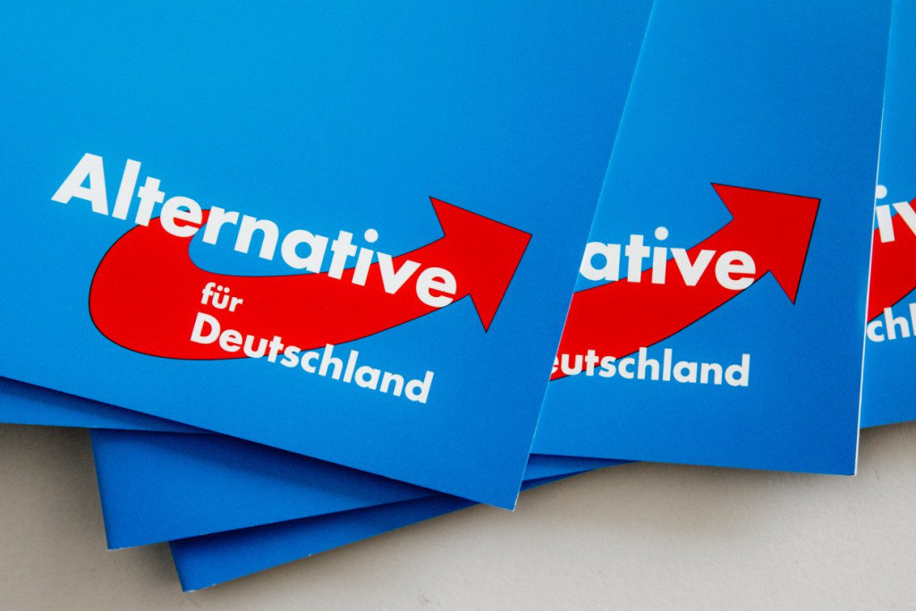 Das Logo der AfD auf einer Parteibroschüre. (© picture-alliance/​dpa) 