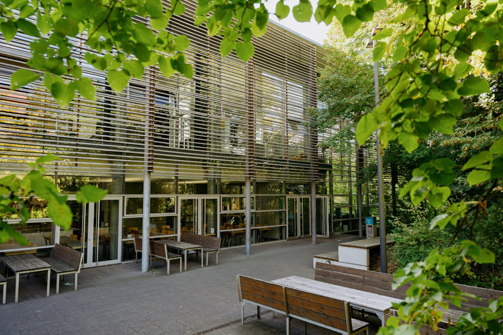 Dinning Hall-Outdoor Area